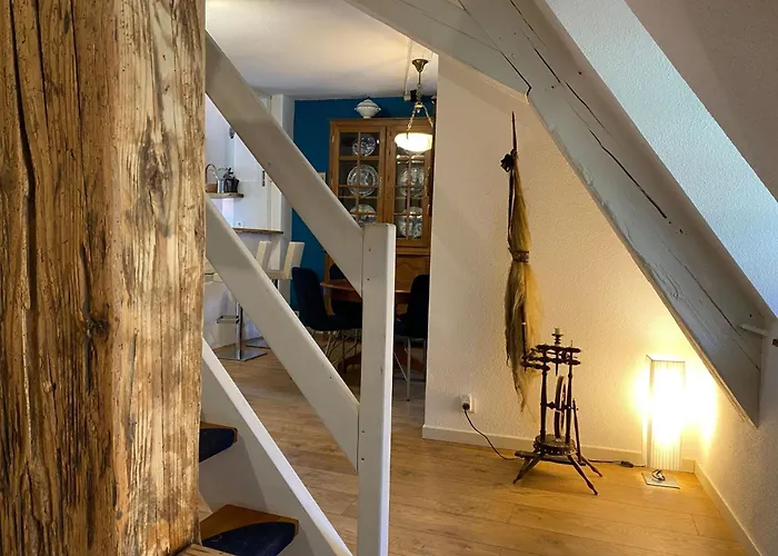 Schweitzer In By Interhome