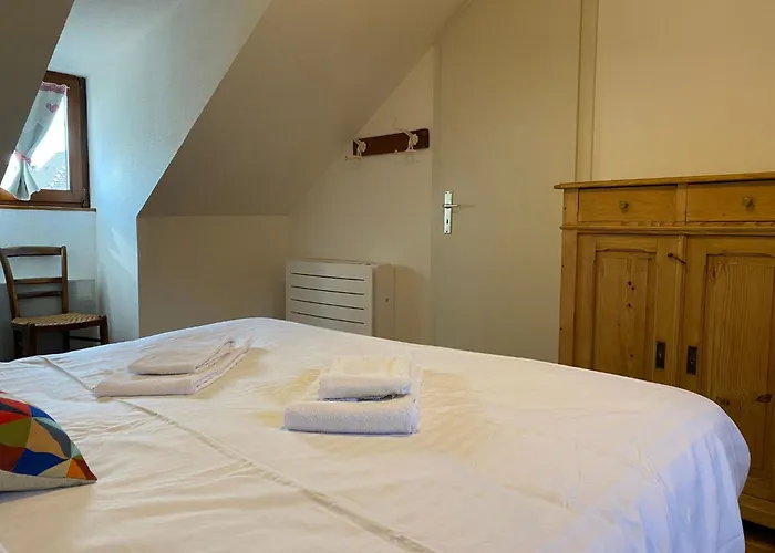 Schweitzer In By Interhome